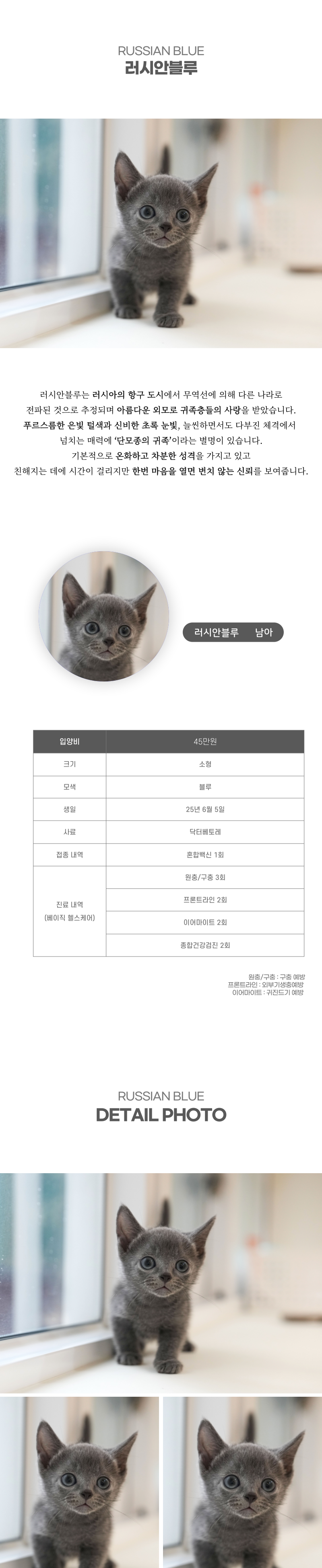 러시안블루_상세이미지_2